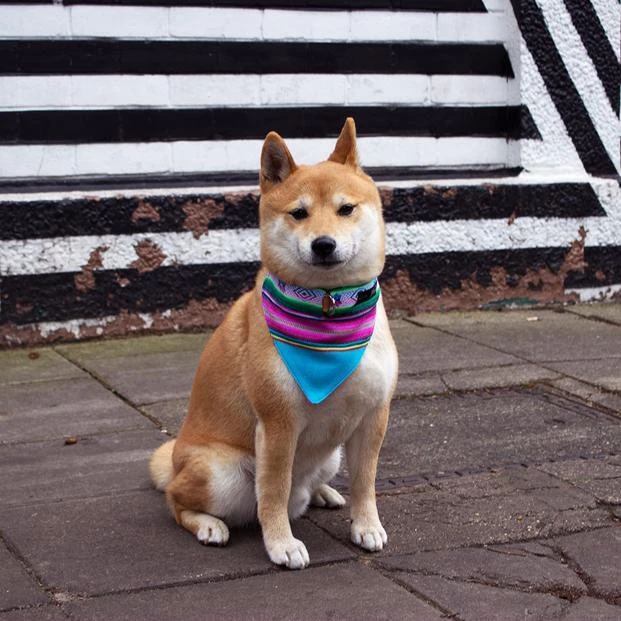 Hiro + Wolf Bandana De Collier Inca (2 Coloris) 6 Hiro + Wolf Bandana De Collier Inca (2 Coloris) – Image 6