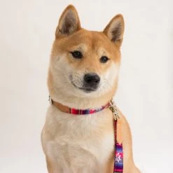 Alternative view of Hiro + Wolf Collier Pour Chien Cuir Et Tissu Inca Pink