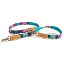 Alternative view of Hiro + Wolf Laisse Inca Blue