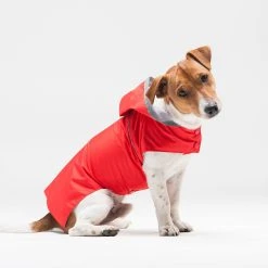 Woofit Imperméable Pour Chien Toutes Tailles 21 Woofit Imperméable Pour Chien Toutes Tailles -dog food shop isla fullxfull.37702061 j88t09ux