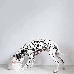 Kind For Dogs Sac De Rangement Pour Jouets Pour Chien -dog food shop kind S6A6431 2000x2000px44 e1b06691 c819 4f62 b7d6 b21a1d75ce8c