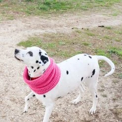 We Are Knitters Kit Snood Pour Chien Au Tricot 10 We Are Knitters Kit Snood Pour Chien Au Tricot -dog food shop knitting kit petite wool pets Rex snood EN 04