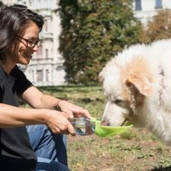 United Pets Gourde Pour Chien Avec Distributeur D’eau 10 United Pets Gourde Pour Chien Avec Distributeur D’eau -dog food shop leaf park 3 1024x683 1