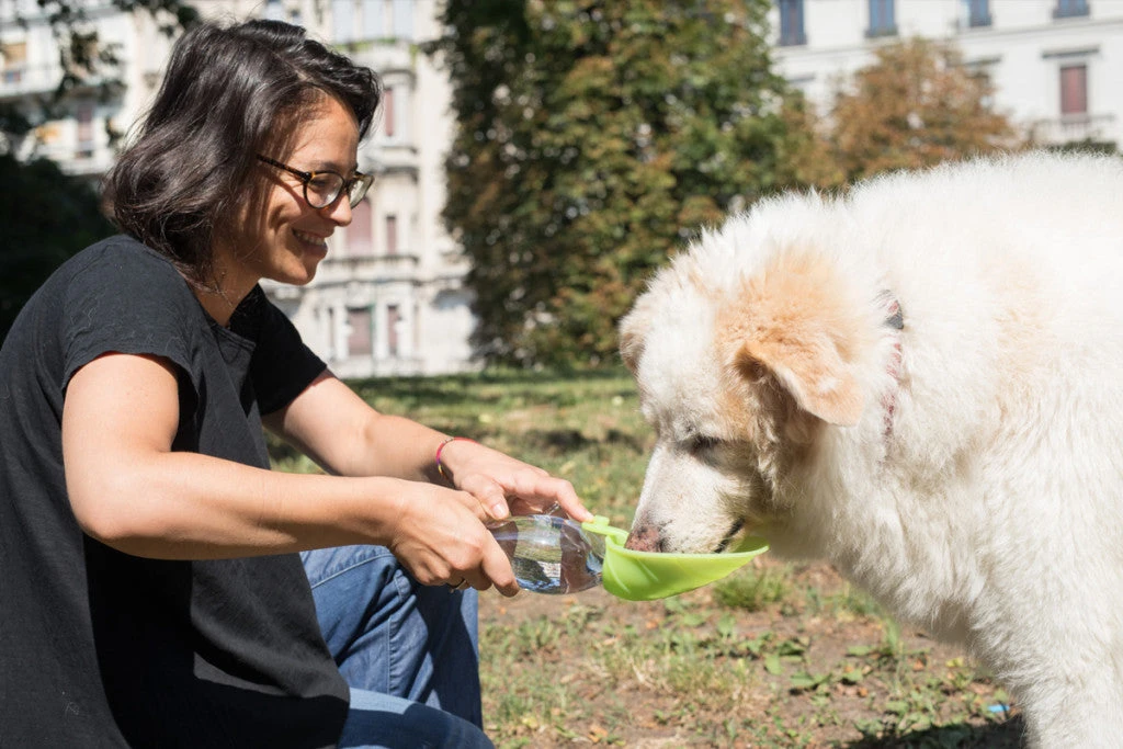 United Pets Gourde Pour Chien Avec Distributeur D’eau 5 United Pets Gourde Pour Chien Avec Distributeur D’eau – Image 5