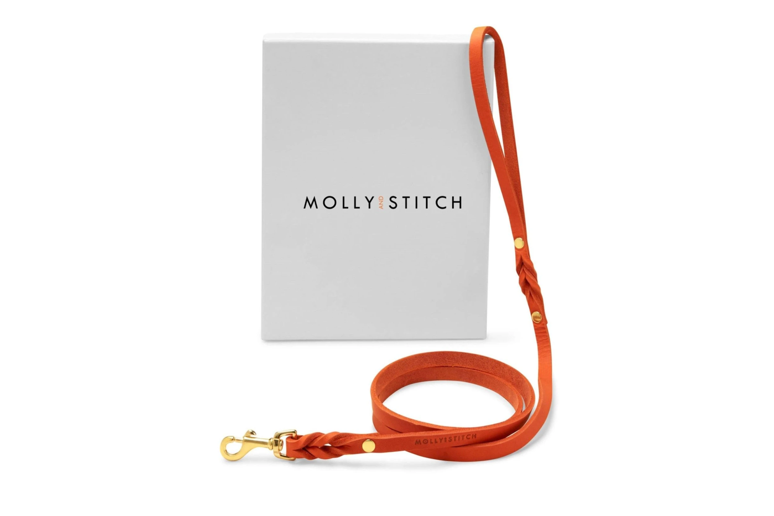 Molly And Stitch Laisse Pour Chien En Cuir Souple Simple (8 Couleurs) 2 Molly And Stitch Laisse Pour Chien En Cuir Souple Simple (8 Couleurs) – Image 2