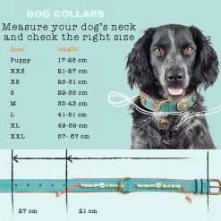 Dog With A Mission Collier En Cuir Paddy Lee Dwam 13 Dog With A Mission Collier En Cuir Paddy Lee Dwam -dog food shop maattabel collars en cm