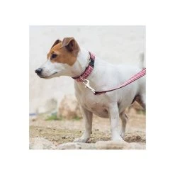 Alternative view of BROTT Collier Pour Chien Vichy Rouge Maians