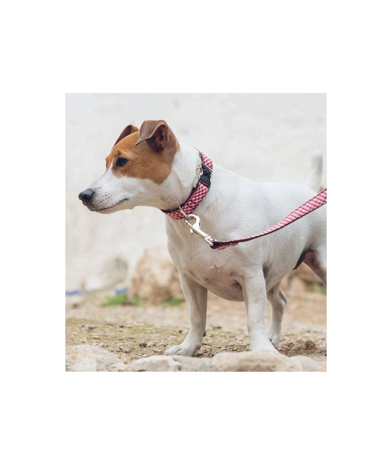 BROTT Collier Pour Chien Vichy Rouge Maians 2 BROTT Collier Pour Chien Vichy Rouge Maians – Image 2