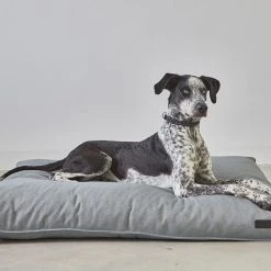 MiaCara Coussin Pour Chien Orthopédique Mare 11 MiaCara Coussin Pour Chien Orthopédique Mare -dog food shop mare fels