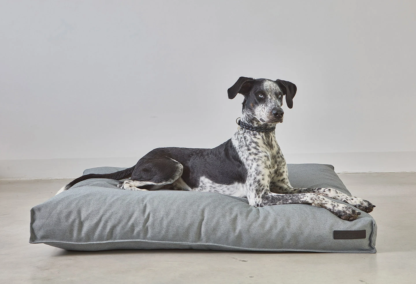 MiaCara Coussin Pour Chien Orthopédique Mare 6 MiaCara Coussin Pour Chien Orthopédique Mare – Image 6