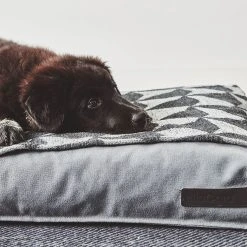 MiaCara Coussin Pour Chien Stella -dog food shop mc c01 014 02 s sleep stella cushion slate lou 093 1