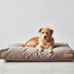 MiaCara Coussin Pour Chien Stella -dog food shop mc c01 014 03 m sleep stella cushion taupe hugo 053
