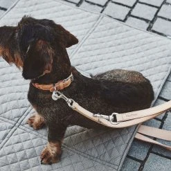 MiaCara Laisse Pour Chien En Cuir Bergamo 15 MiaCara Laisse Pour Chien En Cuir Bergamo -dog food shop mc c04 007 02 sm walk bergamo natural simba 1 354 088ed673 d883 45e9 9f6f b92dadc34676