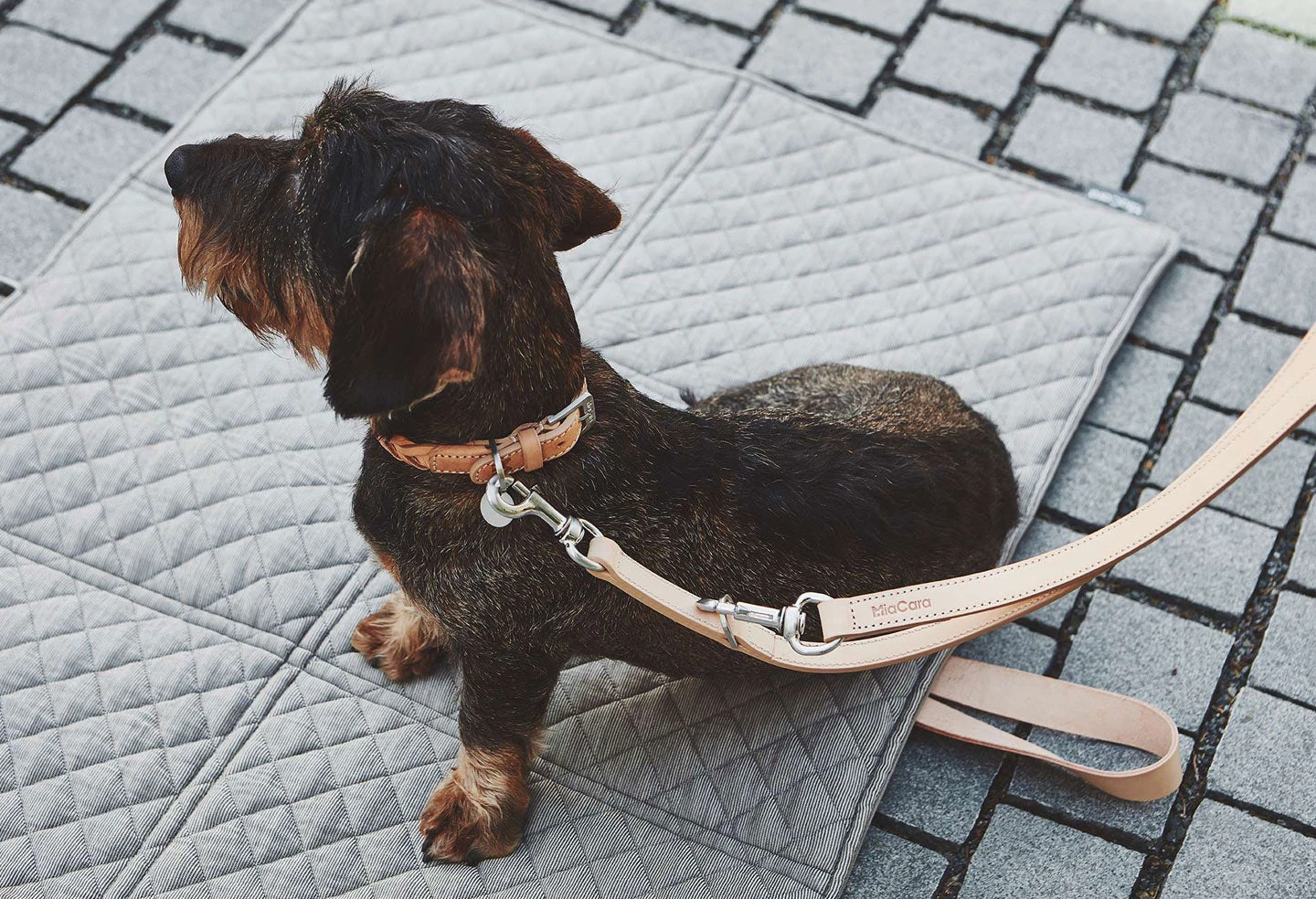 MiaCara Laisse Pour Chien En Cuir Bergamo 8 MiaCara Laisse Pour Chien En Cuir Bergamo – Image 8