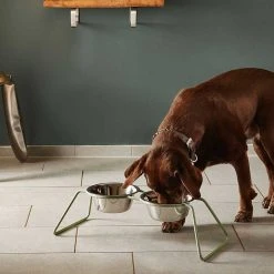 MiaCara Double écuelle Design Pour Chien Cena 7 MiaCara Double écuelle Design Pour Chien Cena -dog food shop mc c06 006 02 m eat cena dusty green kaestner 2912