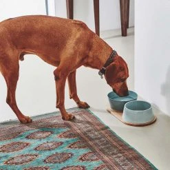 Alternative view of MiaCara Plateau Pour Bols Pour Chien Doppio