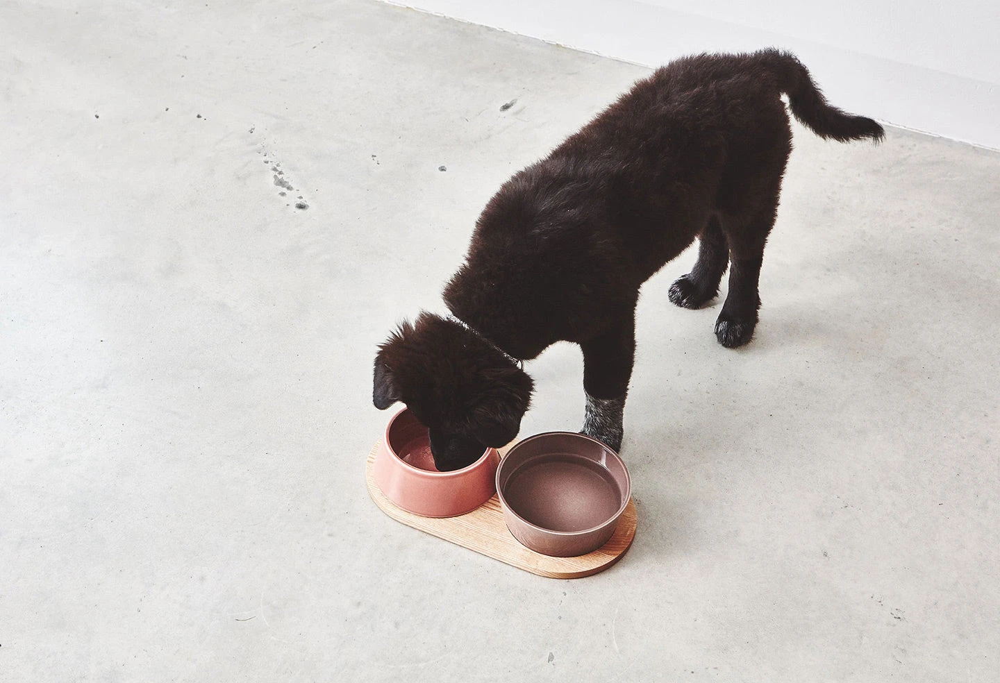 MiaCara Ensemble De Bols Design Pour Chien Doppio 2 MiaCara Ensemble De Bols Design Pour Chien Doppio – Image 2