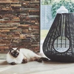 MiaCara Maison Pour Chat Perla 7 MiaCara Maison Pour Chat Perla -dog food shop mc g02 010 02 sleep perla anthracite mio 343 984