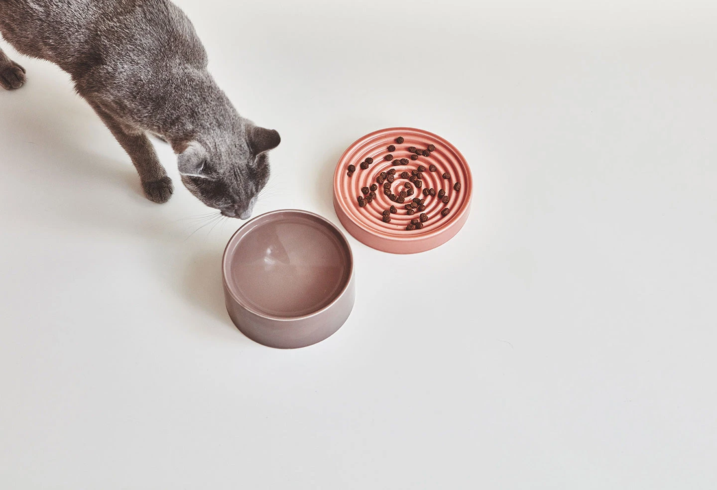 MiaCara Bol En Porcelaine Pour Chat Fresco 4 MiaCara Bol En Porcelaine Pour Chat Fresco – Image 4