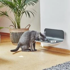 MiaCara Bols Surélevés Pour Chat Arco 6 MiaCara Bols Surélevés Pour Chat Arco -dog food shop mc g06 009 01 eat arco cat feeder hpl grey mia 1459 1