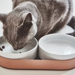MiaCara Bols Doubles Pour Chat Tavoletta -dog food shop mc g06 010 02 eat tavoletta cat feeder nude mia 06 1