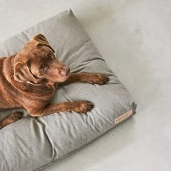 MiaCara Coussin Pour Chien Orthopédique Mare 9 MiaCara Coussin Pour Chien Orthopédique Mare -dog food shop mc mare sand 3 recolored