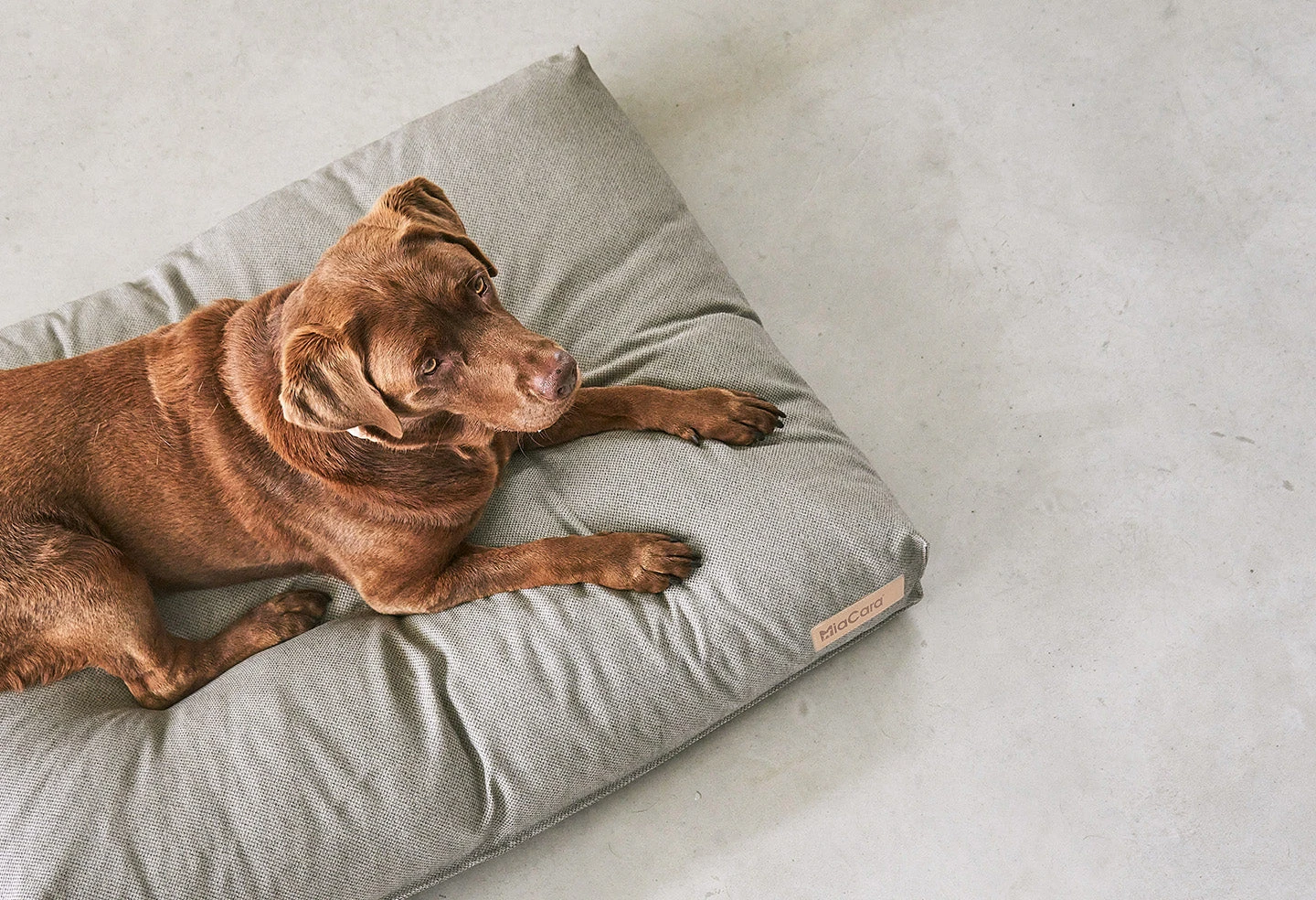 MiaCara Coussin Pour Chien Orthopédique Mare 4 MiaCara Coussin Pour Chien Orthopédique Mare – Image 4