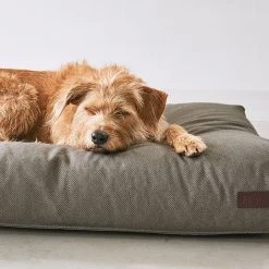 MiaCara Coussin Pour Chien Orthopédique Mare 10 MiaCara Coussin Pour Chien Orthopédique Mare -dog food shop mc mare seetang 1 recolored