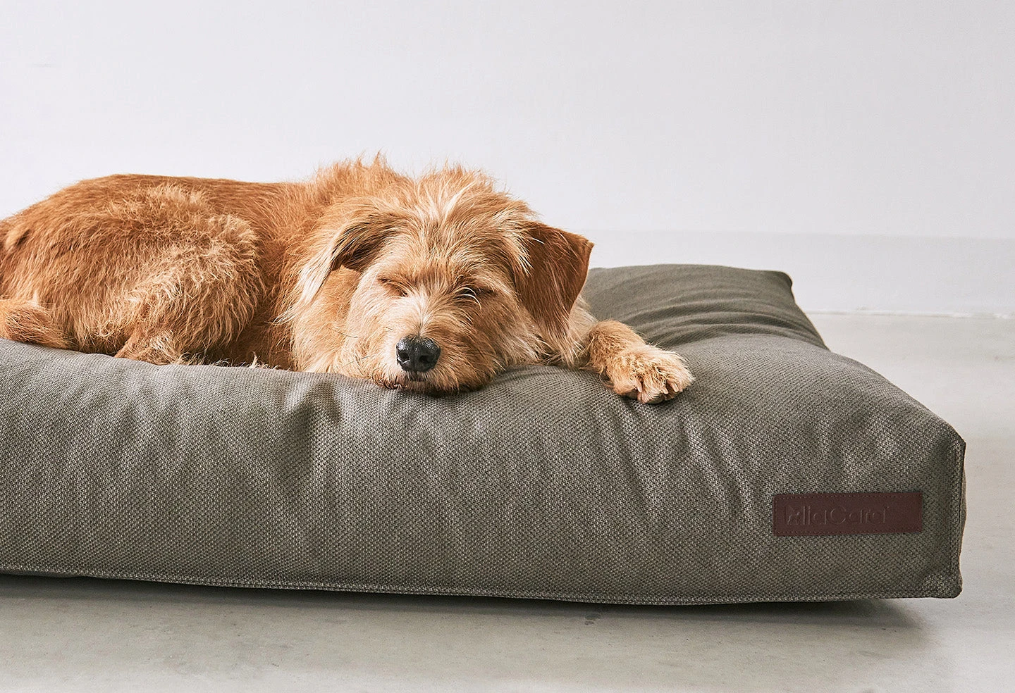 MiaCara Coussin Pour Chien Orthopédique Mare 5 MiaCara Coussin Pour Chien Orthopédique Mare – Image 5