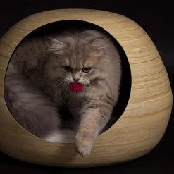 Dandy Cat Dandy Ball -dog food shop noire 1024x526 1024x525 1