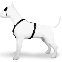 Morso Harnais En H Pour Chien Caviar 4 Morso Harnais En H Pour Chien Caviar -dog food shop pettorina h gold caviar header top transparent 01 b