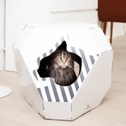 My Kotty Maison En Carton Pour Chat