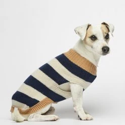 The Painter's Wife Pull Pour Chien En Laine Anni