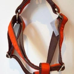 BROTT Harnais Parachute Solid Rouge -dog food shop rouge1
