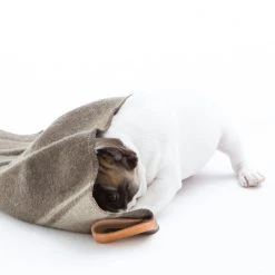 2.8 Duepuntootto Couverture En Laine Recyclée Ansel Duepuntootto 9 2.8 Duepuntootto Couverture En Laine Recyclée Ansel Duepuntootto -dog food shop s768842417857699996 p35 i8 w1200