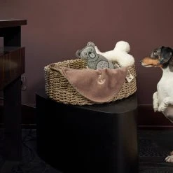Cloud 7 Panier De Rangement En Jonc De Mer 4 Cloud 7 Panier De Rangement En Jonc De Mer -dog food shop seegras aufbewahrungskorb 2236x2236 1