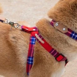 Alternative view of Hiro + Wolf Harnais Pour Chien Shuka Red