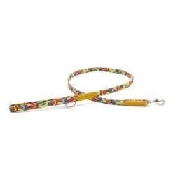 Hiro + Wolf Laisse Over The Rainbow