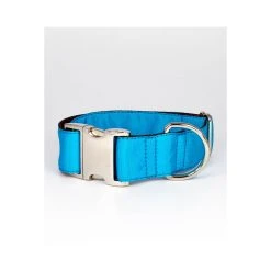 BROTT Collier Pour Chien Solid Turquoise