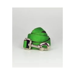 BROTT Laisse Pour Chien Solid Green