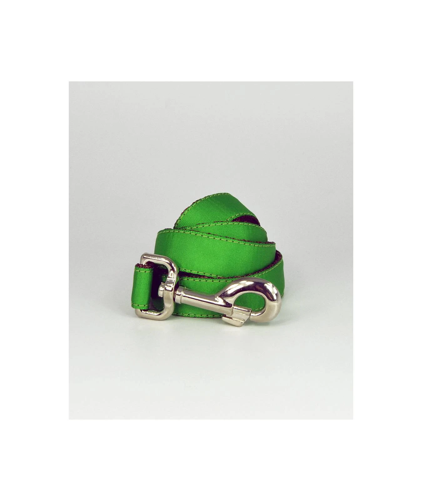 BROTT Laisse Pour Chien Solid Green 1 BROTT Laisse Pour Chien Solid Green