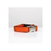 BROTT Collier Pour Chien Solid Orange