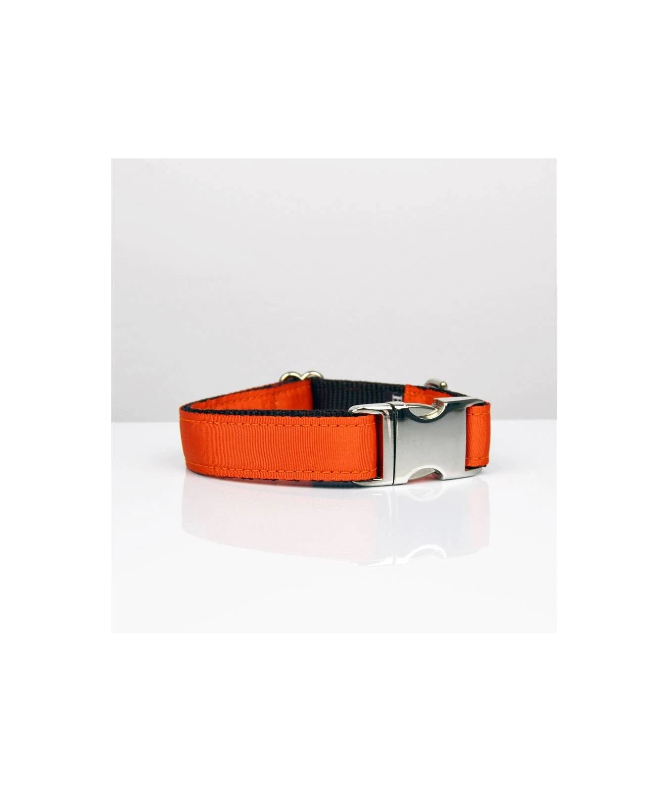 BROTT Collier Pour Chien Solid Orange 1 BROTT Collier Pour Chien Solid Orange