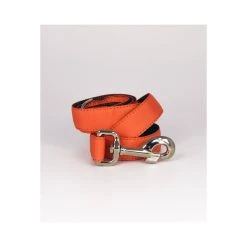 BROTT Laisse Pour Chien Solid Orange