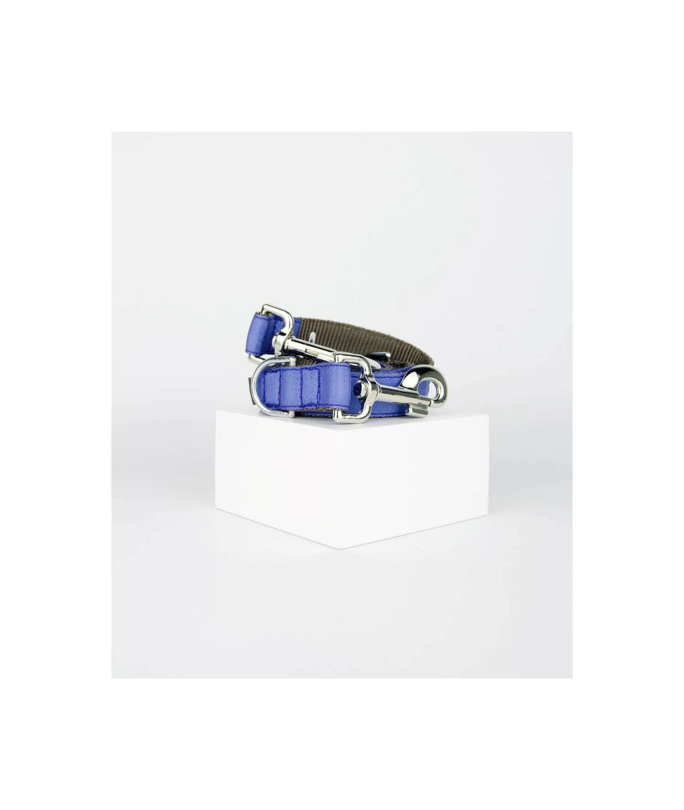 BROTT Collier Pour Chien Solid Serenity 2 BROTT Collier Pour Chien Solid Serenity – Image 2