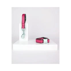 Alternative view of BROTT Collier Pour Chien Strawberry