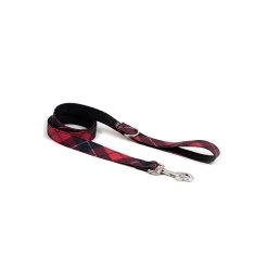 BROTT Laisse Pour Chien Bolvir
