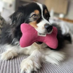 Alternative view of Tou'You Jeu Os Pour Chien En Lin Naturel