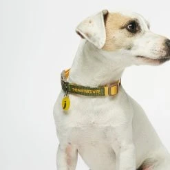 The Painter's Wife Collier Pour Chien Sonia -dog food shop tpw sonia collar01 01