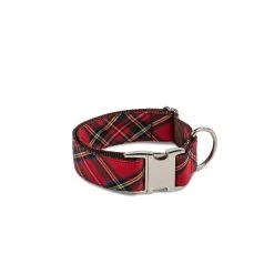BROTT Collier Pour Chien écossais Tremp